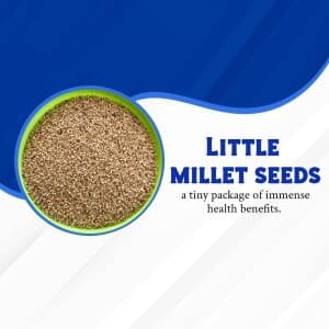 Seeds and Grains business banner