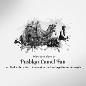 Pushkar Fair video