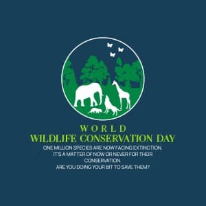 Wildlife Conservation Day creative image