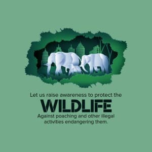 Wildlife Conservation Day whatsapp status poster