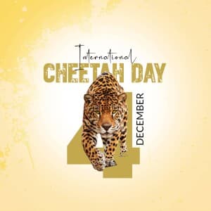International Cheetah Day creative image