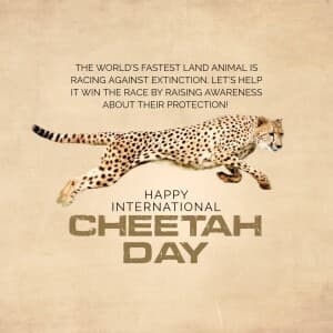 International Cheetah Day whatsapp status poster