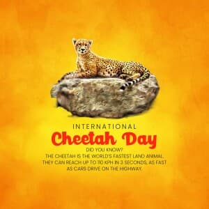 International Cheetah Day Facebook Poster