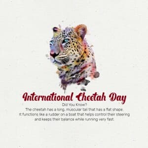 International Cheetah Day event advertisement
