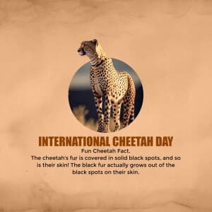 International Cheetah Day illustration