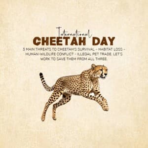 International Cheetah Day graphic