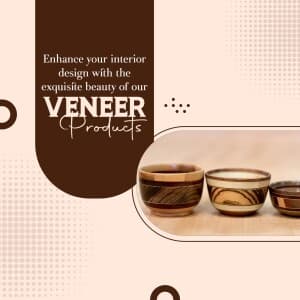 Veneer template