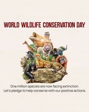 Wildlife Conservation Day image