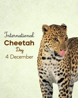 International Cheetah Day image