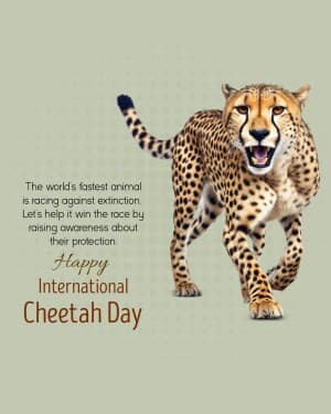 International Cheetah Day banner