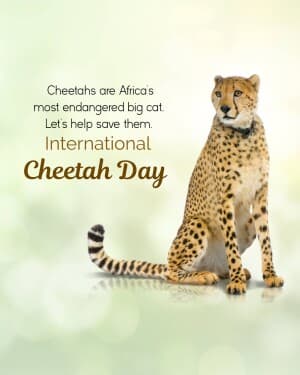 International Cheetah Day poster