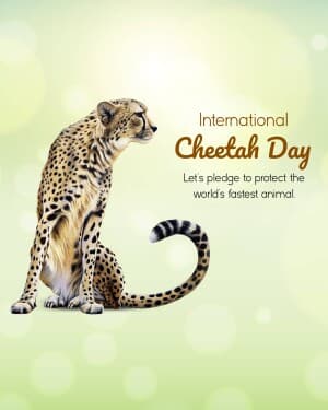 International Cheetah Day post