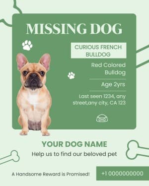 Missing Pet Instagram banner