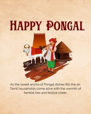 Importance of Pongal image