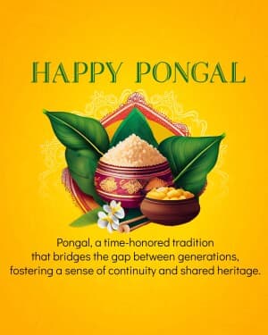 Importance of Pongal post