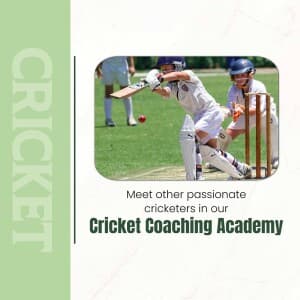 Cricket Academies image