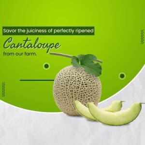 Cantaloupe template