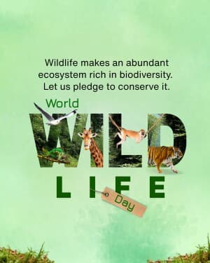 World Wildlife Day video