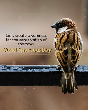 World Sparrow Day creative image