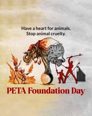 Peta Foundation Day video