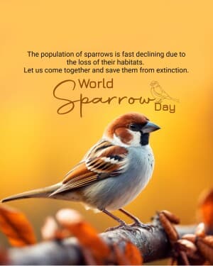 World Sparrow Day Instagram Post