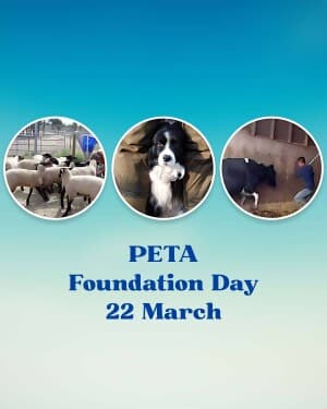 Peta Foundation Day flyer