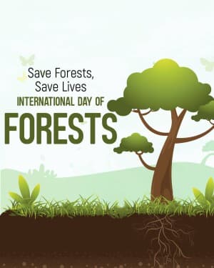 International Day of Forests video