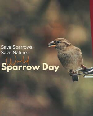 World Sparrow Day banner