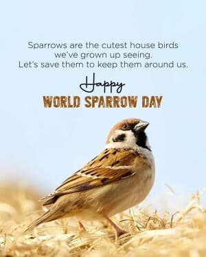 World Sparrow Day poster