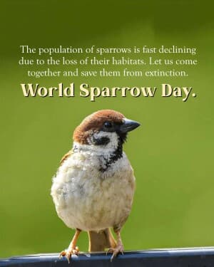 World Sparrow Day event poster
