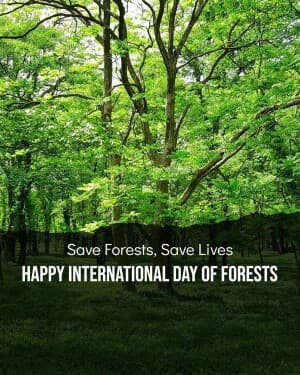 International Day of Forests event poster