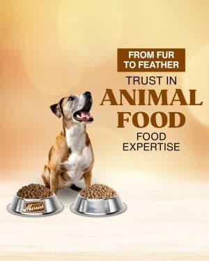 Animal Food video