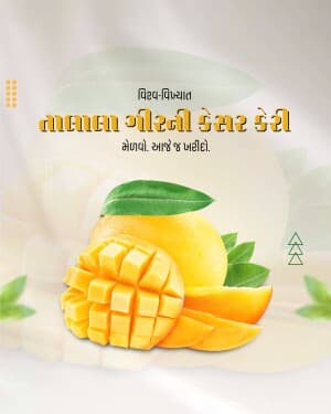 Mango banner