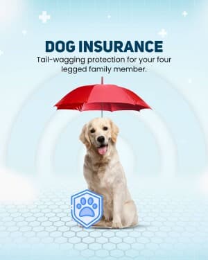 Pet & Cattle Insurance flyer