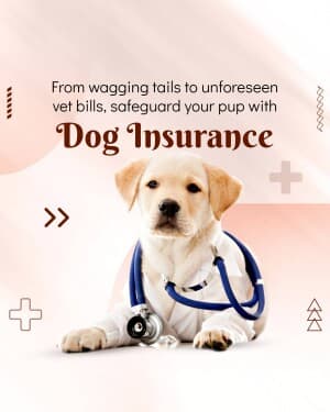 Pet & Cattle Insurance image