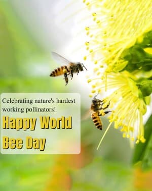 World Bee Day graphic