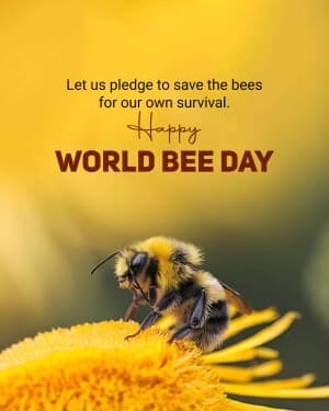 World Bee Day banner