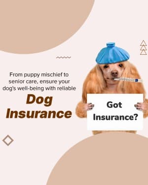 Pet & Cattle Insurance template