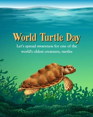 World Turtle Day illustration
