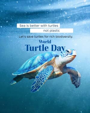 World Turtle Day video