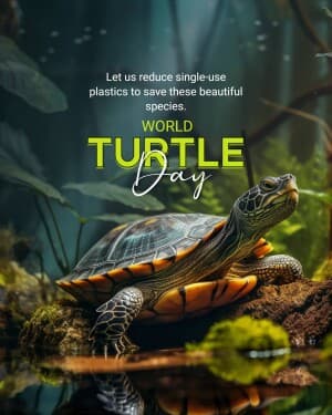 World Turtle Day poster