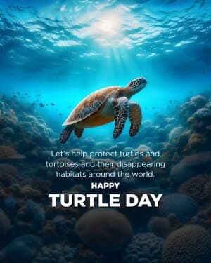 World Turtle Day banner