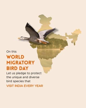 World Migratory Bird Day post