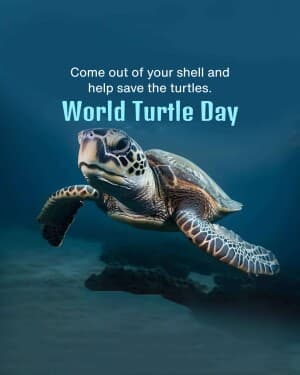 World Turtle Day image