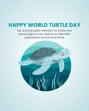 World Turtle Day event poster