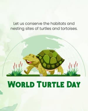 World Turtle Day post