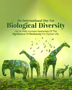 International Day for Biological Diversity event poster