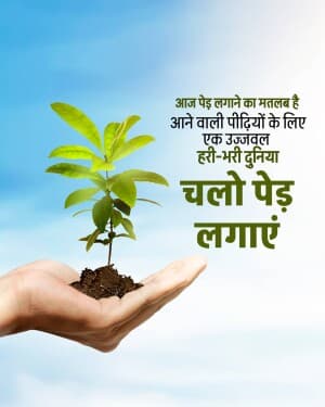 Plantation Instagram banner