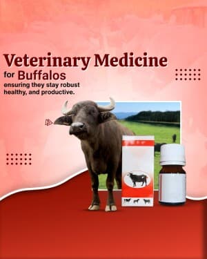 Veterinary business image