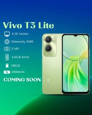 VIVO flyer